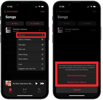 How to Delete Songs from Apple Music: A Comprehensive Guide with Insights